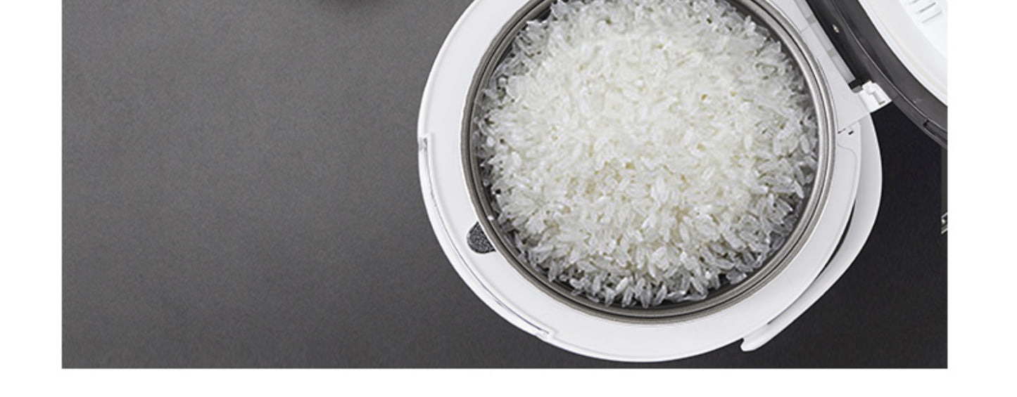 12V 24V 110V 220V 2L four voltage car home rice cooker van car rice cooker for travel global voltage use