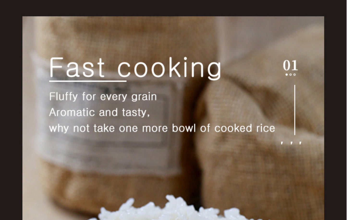 12V 24V 110V 220V 2L four voltage car home rice cooker van car rice cooker for travel global voltage use