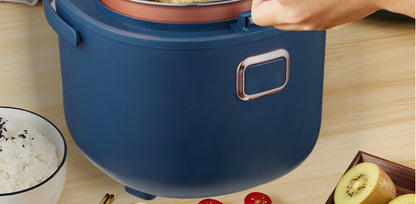 12V 24V 110V 220V 2L four voltage car home rice cooker van car rice cooker for travel global voltage use