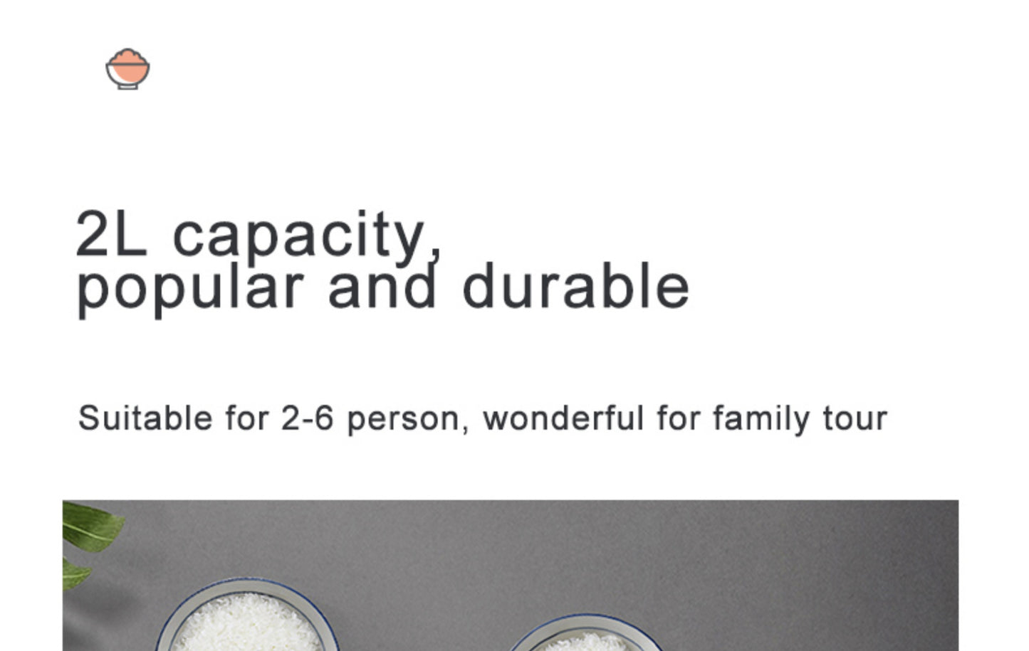 12V 24V 110V 220V 2L four voltage car home rice cooker van car rice cooker for travel global voltage use